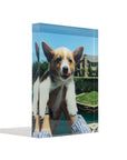 Custom 3D Acrylic Photo Block